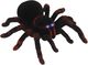 NoboKids Pająk Tarantula Zdalnie Sterowany LED + Pilot R/C 1