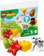 LEGO Duplo Farma - Cielak (30326) 2
