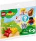 LEGO Duplo Farma - Cielak (30326) 1