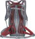 Plecak turystyczny Salewa MTN Trainer WS 22 l 1
