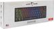 Klawiatura White Shark Shinobi Outemu Red (3300-uniw) 6