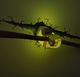 3D LIGHT FX Lampa sufitowa 2