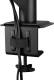Arctic Uchwyt biurkowy na monitor do 43" X1-3D (AEMNT00062A) 2