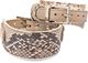 Smart Animal Skórzana obroża dla charta, kolekcja SMART, 28 cm - 32 cm, wężowa 1