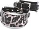 Smart Animal Skórzana obroża dla charta, kolekcja SMART, 28 cm - 32 cm, Spirit 2