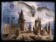 Wizarding World Harry Potter: Magiczne puzzle - Hedwiga w locie (500 elementów) 26