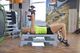Fit4Med hantel RS52 1 x 24 kg 8