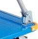 Higher Wózek platformowy transportowy magazynowy 450kg 15