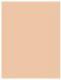 MAX FACTOR Pan Stik Foundation podkład w sztyfcie 13 Nouveau Beige 9g 2
