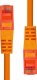 ProXtend ProXtend U/UTP CAT6 PVC AWG 26 CCA Orange 20CM 1