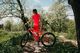 Wolf Rower Wolf Disc 26 R18,5 M Me 2021 pomarańczowy 3