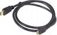 Mikroskop Bresser Mikroskop cyfrowy Bresser Biolux Touch 5MP HDMI, LCD 4,3", 30x-300x (1200x), ekran dotykowy 14
