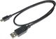 Mikroskop Bresser Mikroskop cyfrowy Bresser Biolux Touch 5MP HDMI, LCD 4,3", 30x-300x (1200x), ekran dotykowy 15