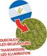 Bresser Bresser - Mikroskop 40x-640x Junior pomarańczowy w walizce 6