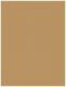 Shiseido Natural Finish Cream Concealer 04 Dark 10ml 1