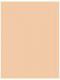 Bourjois Paris Silk Edition Puder w kompakcie 52 Vanille 9g 1