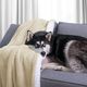 AmeliaHome BLA/AH/SHLEEPY/BEIGE/220X240 4