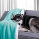 AmeliaHome BLA/AH/SHLEEPY/TURQUOISE/130X180 4