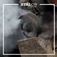 Stalco Tarcza Diamentowa Do Kamienia Betonu Kostki 125Mm 3