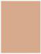 L’Oreal Paris True Match Powder Puder w kamieniu W5 Golden Sand 9g 1