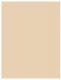 Nivea BB Cream 5in1 Beautifying Moisturizer Krem do twarzy BB Light 50ml 1