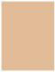 Dermacol Toning Cream 2in1 Krem koloryzujący Natural 30ml 1
