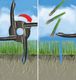 Weibang WEIBANG WB517AB AERATOR SPALINOWY DO TRAWY RURKOWY MOC 5 KM B&S Briggs & Stratton 750Series WB517 WB 517 4