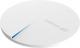 Access Point EdiMax CAP1750 4