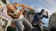 Watch Dogs 2 PS4 6