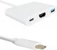 Stacja/replikator Qoltec USB-C (50425) 1