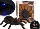 Jokomisiada Zdalnie sterowany PAJĄK tarantula pilot RC0251 1