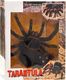 Jokomisiada Zdalnie sterowany PAJĄK tarantula pilot RC0251 8
