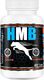 Game Dog Witaminy, suplementy dla psów Game Dog HMB 120 tabletek + gratis 2