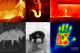 Seek Thermal Kamera termowizyjna do telefonów z systemem Android (UW-EAA) 8