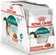 Royal Canin ROYAL CANIN Instinctive +7 w sosie 12x85g 1