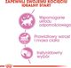 Royal Canin Karma FHN Kitten Sterilised gala 12x85g 5