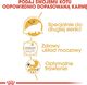 Royal Canin Karma ROYAL CANIN FBN Persian Adult pasztet 12x85g 4