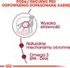 Royal Canin Karma ROYAL CANIN SHN Medium Adult w sosie 10X140G 2
