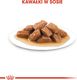 Royal Canin Karma ROYAL CANIN SHN Medium Adult w sosie 10X140G 3