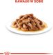 Royal Canin Karma SHN Medium Puppy w sosie 10x140g 4