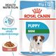 Royal Canin Karma SHN Mini Puppy w sosie 12x85g 1