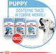 Royal Canin Karma SHN Mini Puppy w sosie 12x85g 9