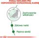 Royal Canin Karma ROYAL CANIN SHN Mini Ageing 12+ 12x85g 2