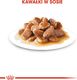 Royal Canin Karma ROYAL CANIN SHN Mini Ageing 12+ 12x85g 3