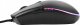 Mysz California Access California Access Korat CA1063 2