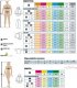 Delta Plus T-Shirt 60% Poliamid/35% Coolmax/5% Elastan kolor czarny rozmiar S KOLDYTONOPT 1