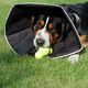 All Four Paws All Four Paws Kołnierz ochronny dla psa Comfy Cone, XL, 30 cm, czarny 1
