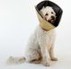 All Four Paws Kołnierz ochronny dla psa Comfy Cone, S, 14 cm, brązowy 1