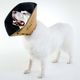 All Four Paws Kołnierz ochronny dla psa Comfy Cone, S, 14 cm, brązowy 2