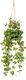 Emerald Emerald Sztuczna ceropegia woodii, zwisająca, 50 cm, w doniczce 1